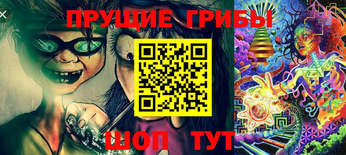 Псилоцибиновые грибы MAGIC MUSHROOMS  Вход с VPN  Россошь 